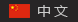 中文版